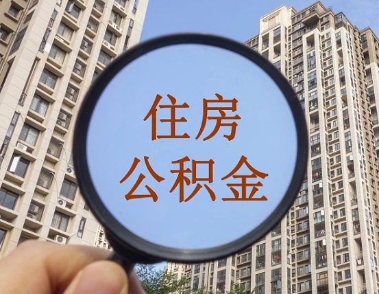 齐河退休后查不到公积金明细了吗（退休后公积金查询不到原因）